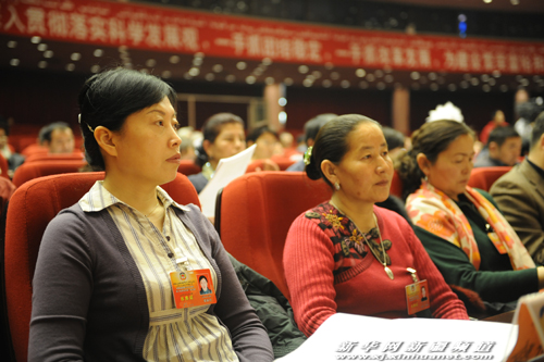 政協新疆維吾爾自治區十屆三次會議今召開