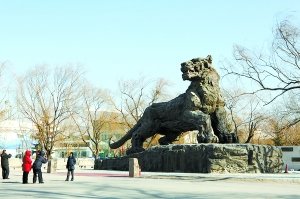 國內最大銅雕老虎將落戶北京動物園