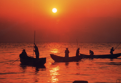 大理洱海：悠悠“杜鵑”情