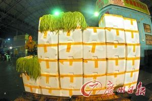 海南豇豆再在廣州被檢出禁用農藥 武漢禁售豇豆