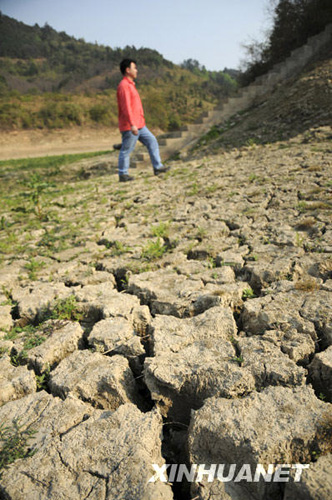 廣西旱區群眾積極抗旱