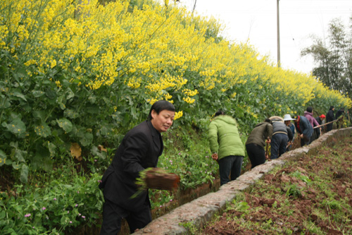 江安干部群眾義務(wù)清渠