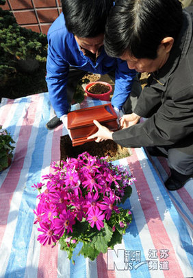 南京推出生態景觀葬