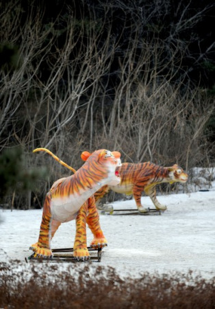 沈陽野生動物園11只東北虎營養不良死亡