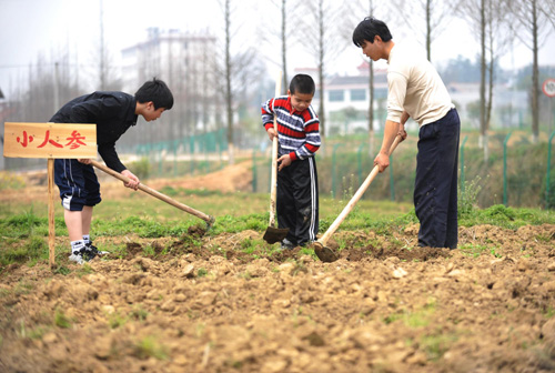 城里人迷上現實版“開心農場”