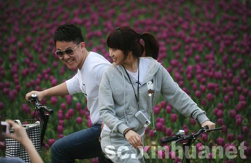 石象湖景區郁金香盛開