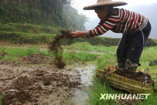 廣西部分旱區喜降春雨