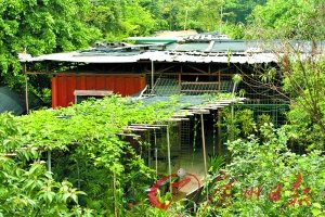 深圳房?jī)r(jià)逼近2萬(wàn) 低價(jià)集裝箱房租賃紅火(圖)