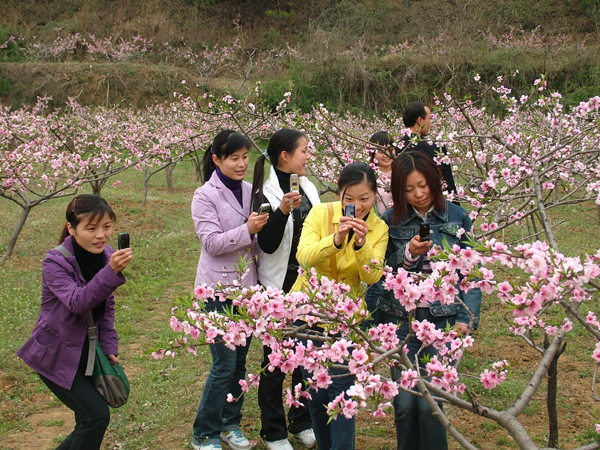 西峽生態美景如畫