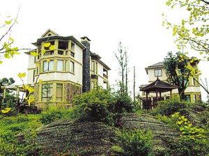 文強受賄名畫經鑒定為張大千真跡 約值364萬