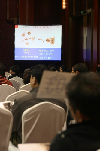 藝術(shù)名家集體獻(xiàn)愛心 “為了海地”慈善拍賣籌款322萬元