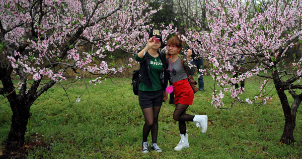 洞庭無處不飛花