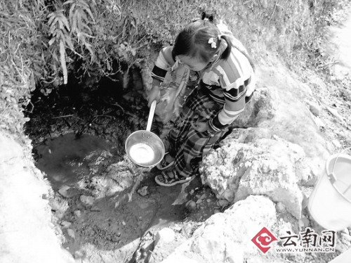 云南旱區裂縫能伸手掌 10小時拉趟水急哭村民