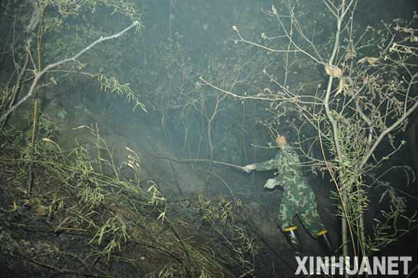 重慶大渡口區發生大面積山火