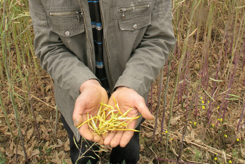 云南旱區：小阿列村的一次村民會議