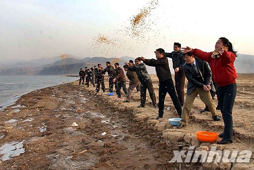 河南：三門峽榮獲“中國大天鵝之鄉(xiāng)”稱號