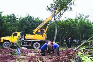 重慶人大代表無償捐65畝開發(fā)地 價值2億元
