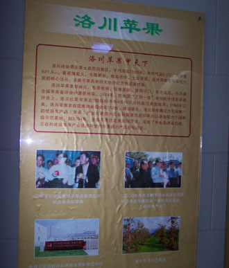 網絡媒體陜西行走訪蘋果之鄉洛川