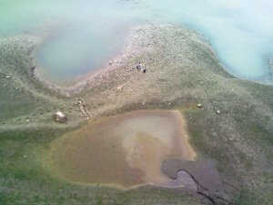 南濱路段江水怎么“五顏六色”的？