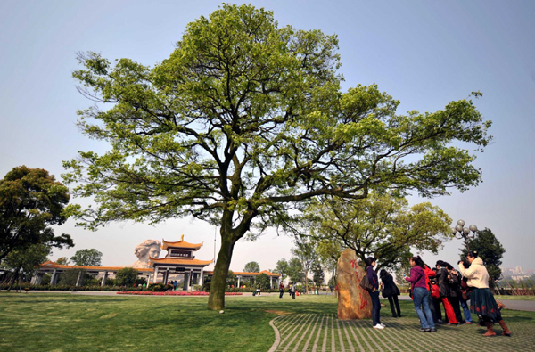 長沙橘子洲打造“生態島”
