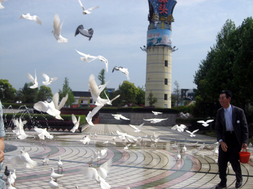 世博唯一鄉村館全球海選館長 環保志愿者忻皓當選