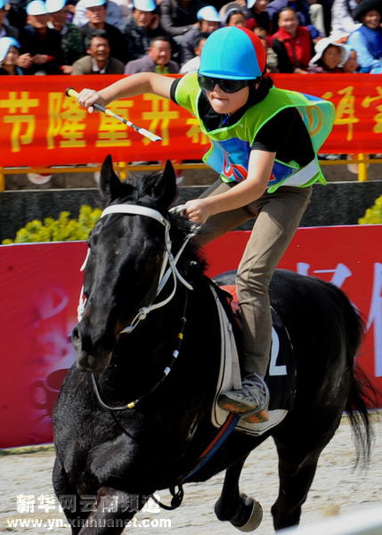 大理三月街賽馬會展開精彩競技