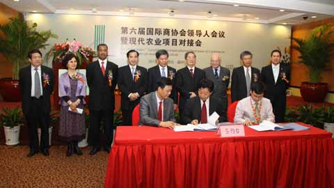 國際商協會領導商討加大海西農業國際對接