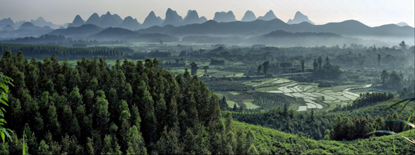 雨季田園如仙境