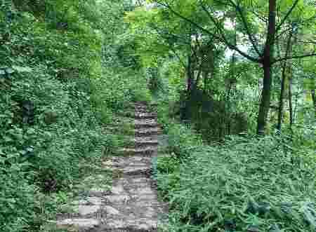 筠連：茶馬古道中的明代關卡“凌云關”