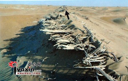 羅布泊現(xiàn)神秘新古城 遺址規(guī)模僅次于樓蘭