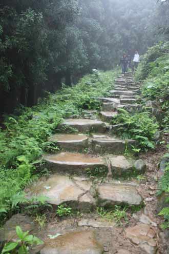 珙縣發現四公里長古石板道 疑為五尺道重要支線