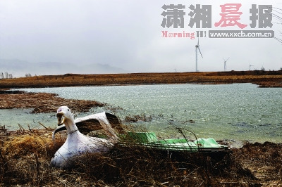 北京超采地下水致大面積沉降 河北輸