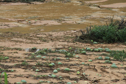 福建降水過程明顯減弱 地質災害累計6891仍處于危險期