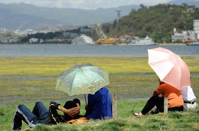 大理建設萬畝生態濕地保護洱海水質