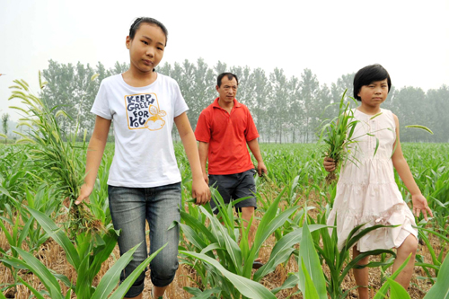 河南平輿縣：暑假讓學生走進田野 體驗勞動艱辛