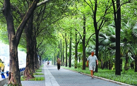 北碚打造生態(tài)休閑走廊