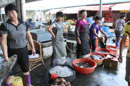 紫金污水泄漏重創(chuàng)當(dāng)?shù)貪O業(yè)（組圖）