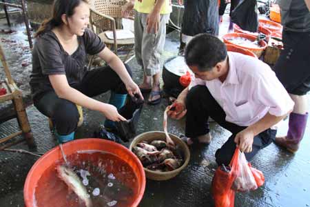 紫金污水泄漏重創當地漁業（組圖）