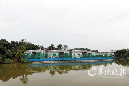 廣州華南植物園內建8棟違章別墅 城管稱查處太難
