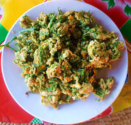 云南西雙版納不臭的臭菜