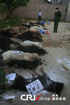 29只警犬服驅蟲藥后死亡