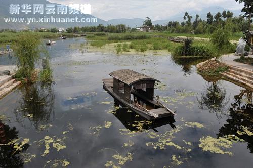 大理濕地保護見成效