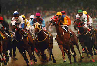 首屆中國金馬馬術文化旅游節揭開帷幕