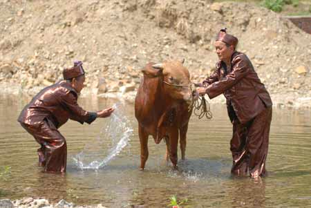 新晃黃牛肉獲得國家地理標(biāo)志產(chǎn)品保護(hù)