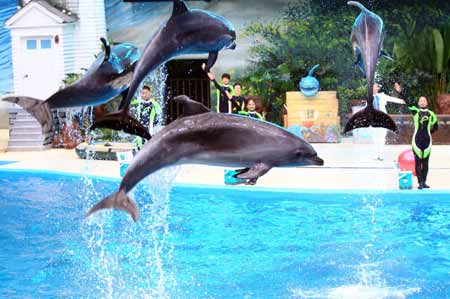 中國最大規模極地海洋動物館開館