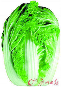 韓國泡菜危機使我國部分地區白菜大漲價