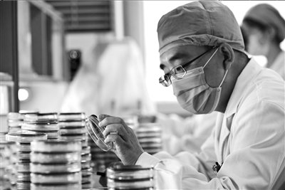 抗生素濫用調查：被視為萬能藥 占醫療費五成