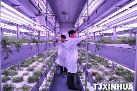 天津高端科技發展農業