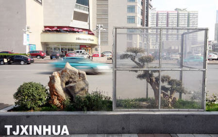 戶外植物“陽(yáng)光房”里溫暖過(guò)冬天