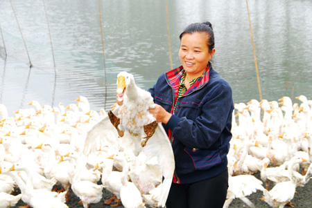 河南潢川上油崗鄉政府引導農民創收